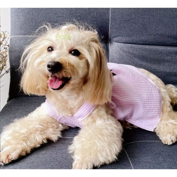 Pink Dog Pet Cat Small‎ Dress NWOT - Picture 4 of 6